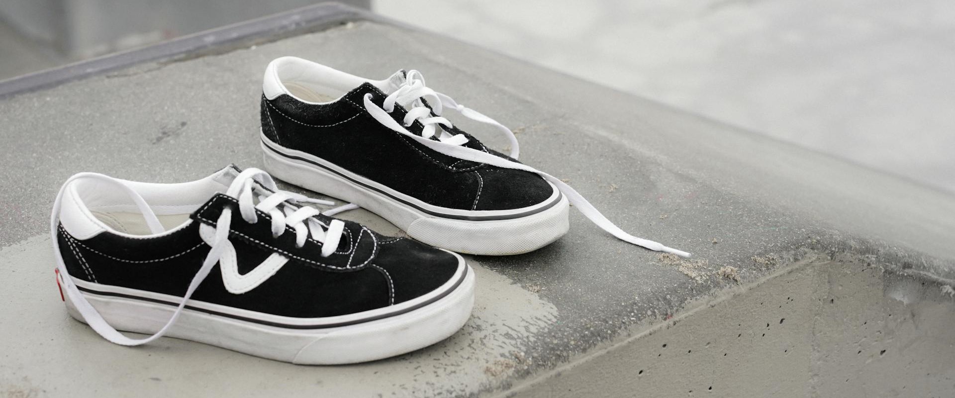 Naked Wolfe Shop -Naked Wolfe Shop pexels badun 17630297