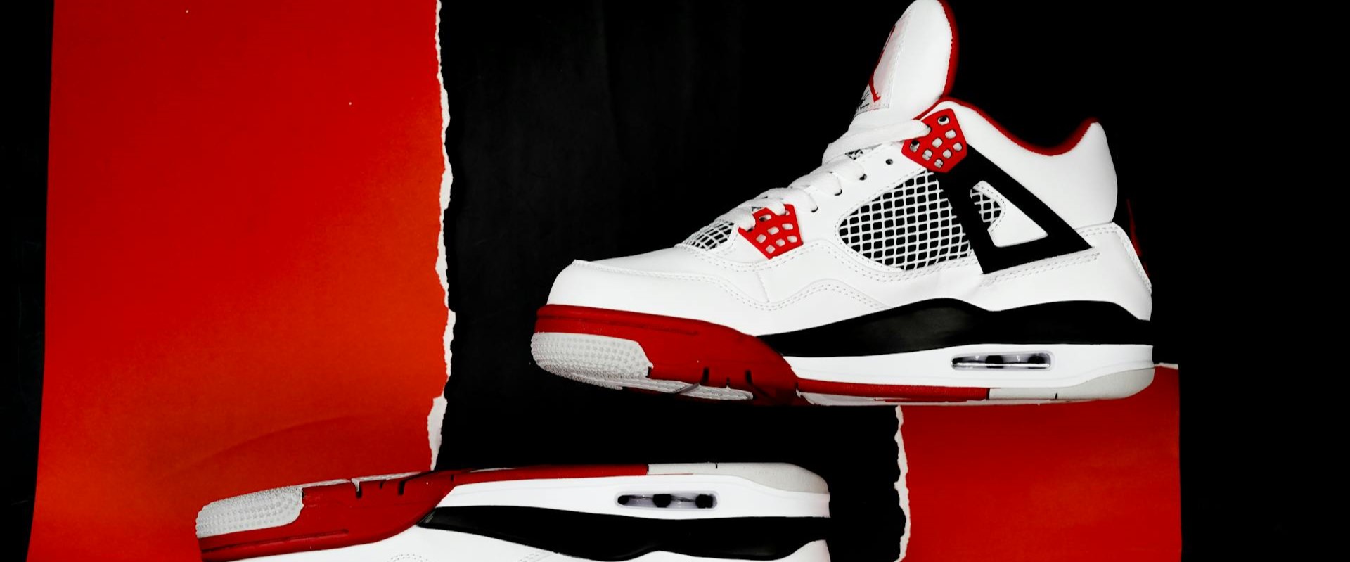 Naked Wolfe Shop -Naked Wolfe Shop pexels mark joey balani 434394388 15298948